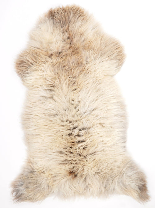 British Multicolour Sheepskin Rug XXL
