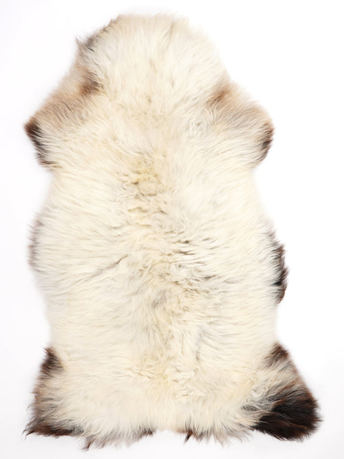 British Multicolour Sheepskin Rug XXL