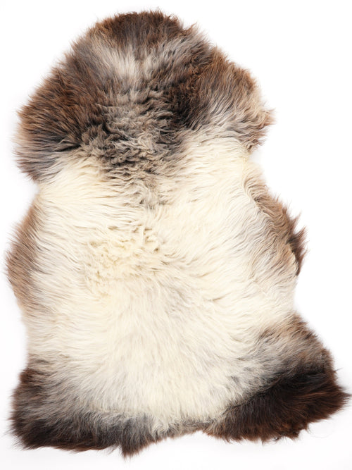 British Multicolour Sheepskin Rug XL
