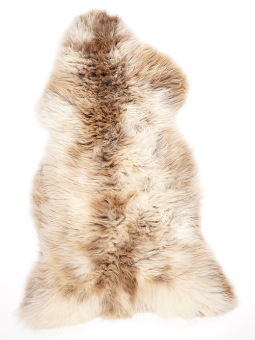 British Multicolour Sheepskin Rug XXL