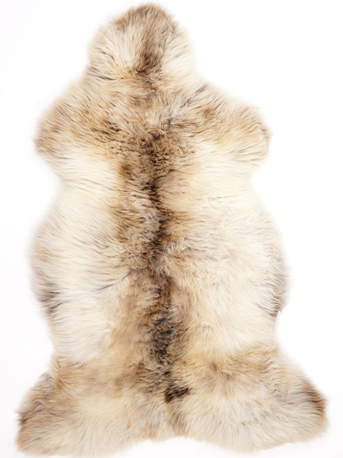 British Multicolour Sheepskin Rug XXL