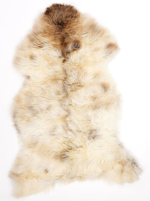 British Multicolour Sheepskin Rug L
