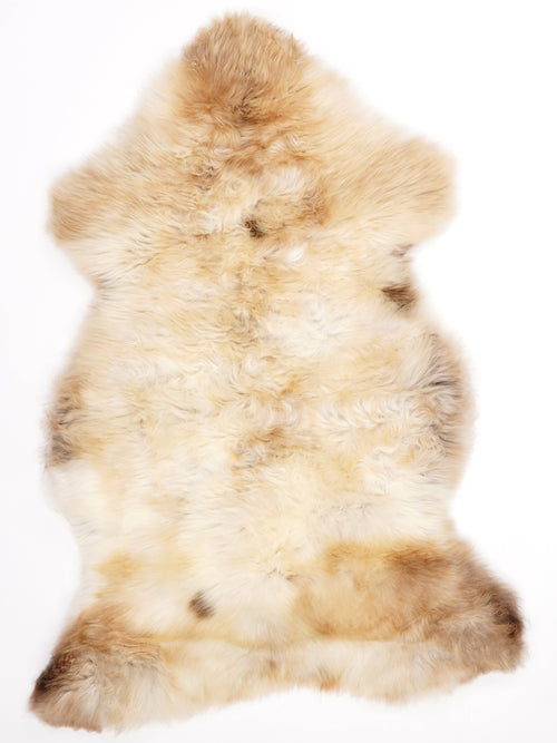 British Multicolour Sheepskin Rug L
