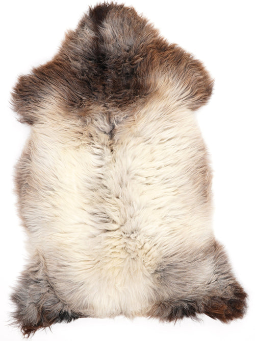British Multicolour Sheepskin Rug XL
