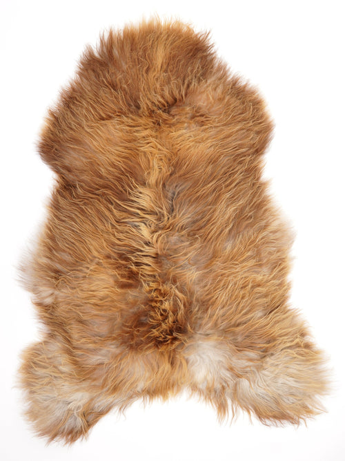 Icelandic Multicolour Sheepskin Rug XL