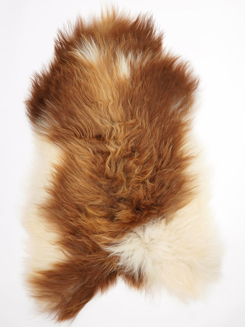 Icelandic Multicolour Sheepskin Rug XL