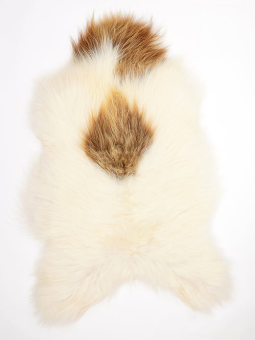 Icelandic Multicolour Sheepskin Rug XXL
