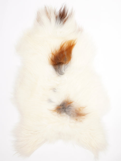 Icelandic Multicolour Sheepskin Rug XL