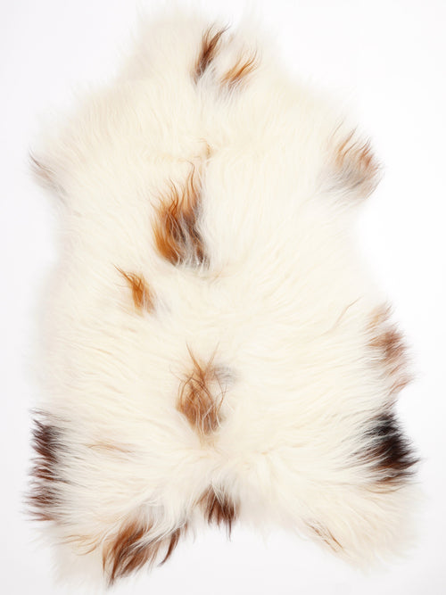 Icelandic Multicolour Sheepskin Rug XXL