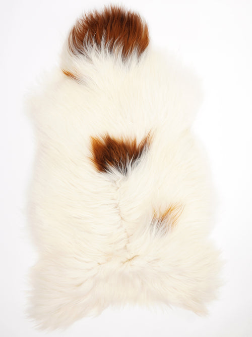 Icelandic Multicolour Sheepskin Rug XXL