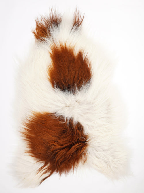 Icelandic Multicolour Sheepskin Rug XXL