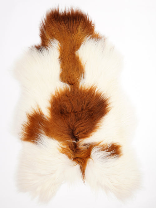 Icelandic Multicolour Sheepskin Rug XXL