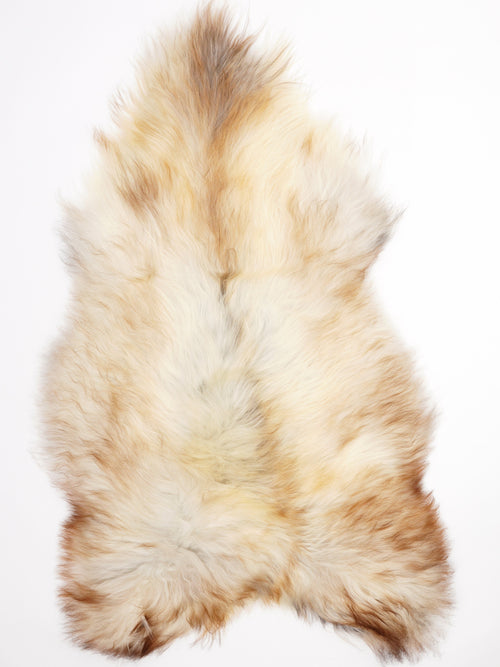 Icelandic Multicolour Sheepskin Rug XXL