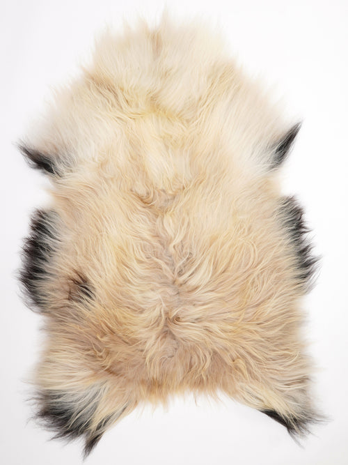 Icelandic Multicolour Sheepskin Rug XXL