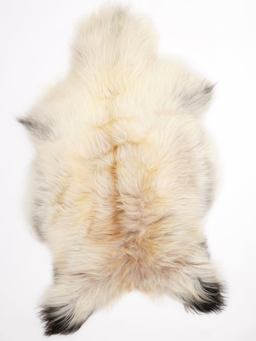 Icelandic Multicolour Sheepskin Rug XL