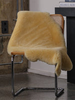 Medical Sheepskin Rug Shorn