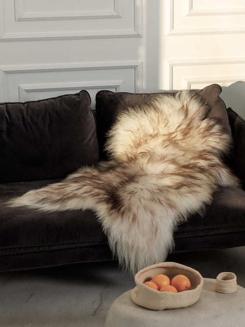 Icelandic Mouflon Sheepskin Rug