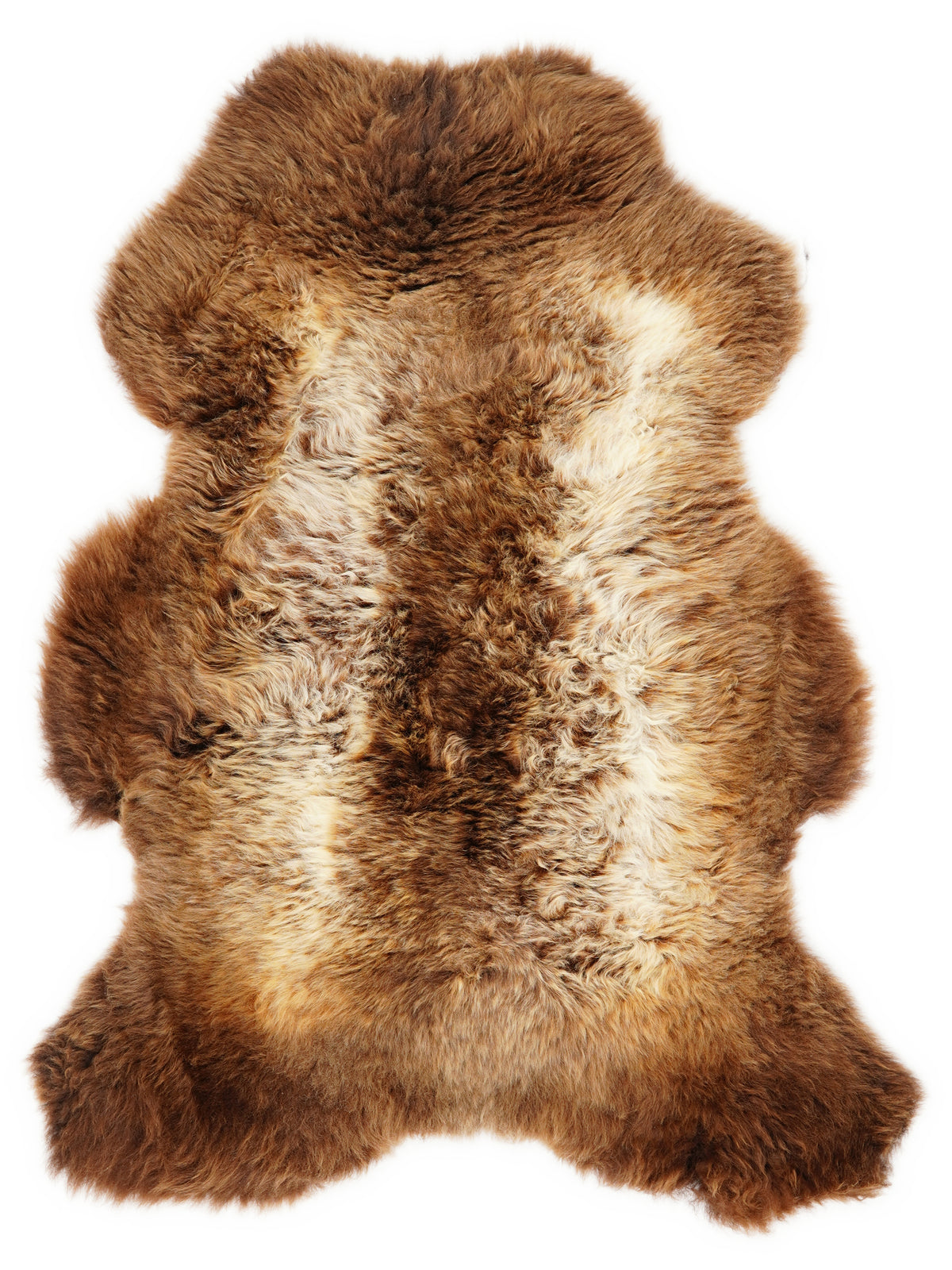 British multicolour sheepskin rug of about 110 × 70 cm, seen from above: the exact sheepskin you receive
