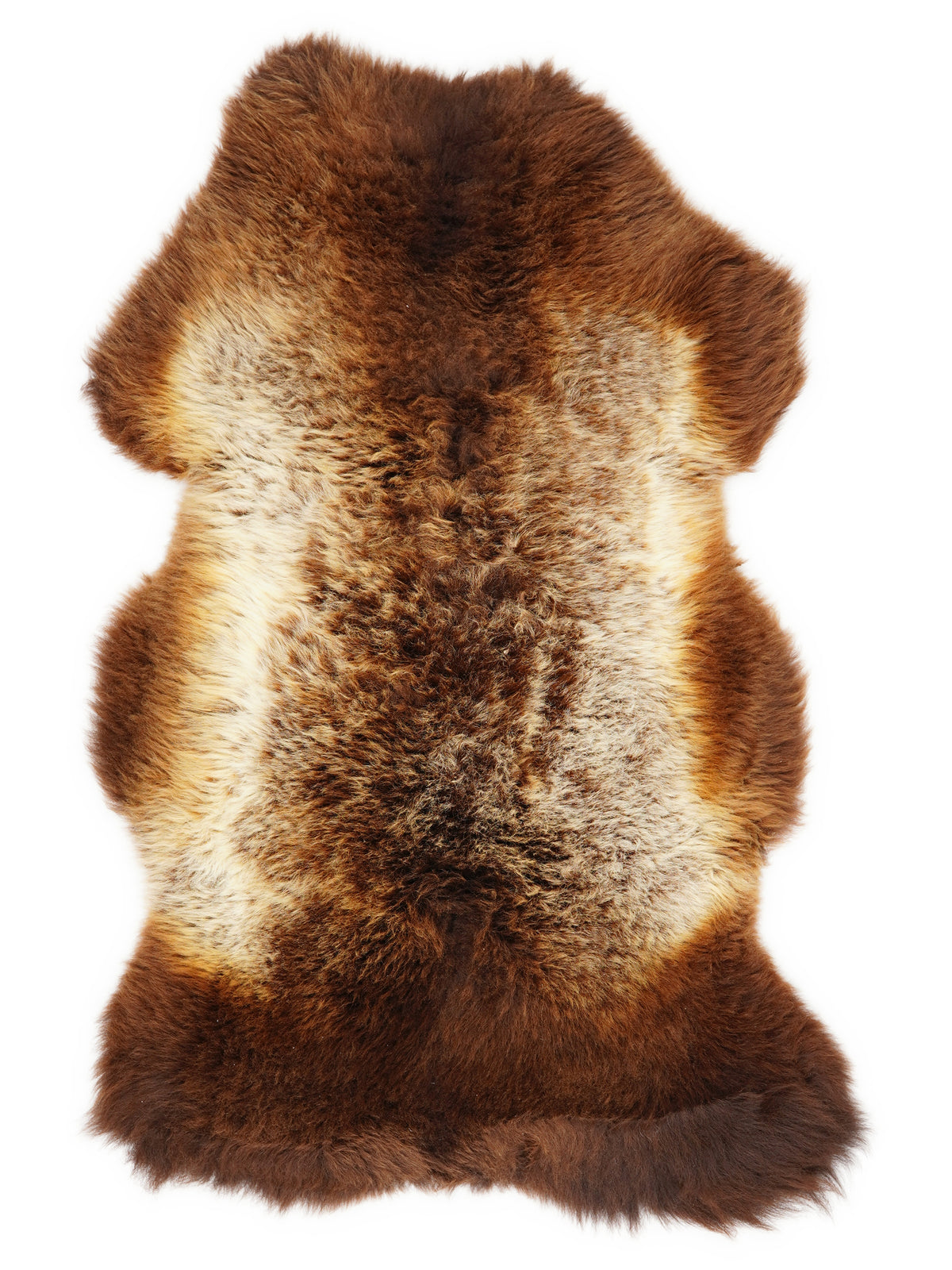 British multicolour sheepskin rug of about 110 × 60 cm, seen from above: the exact sheepskin you receive