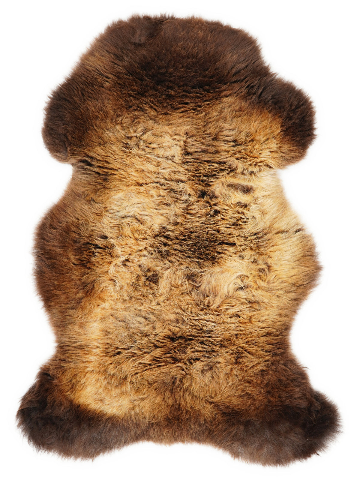 British multicolour sheepskin rug of about 105 × 60 cm, seen from above: the exact sheepskin you receive