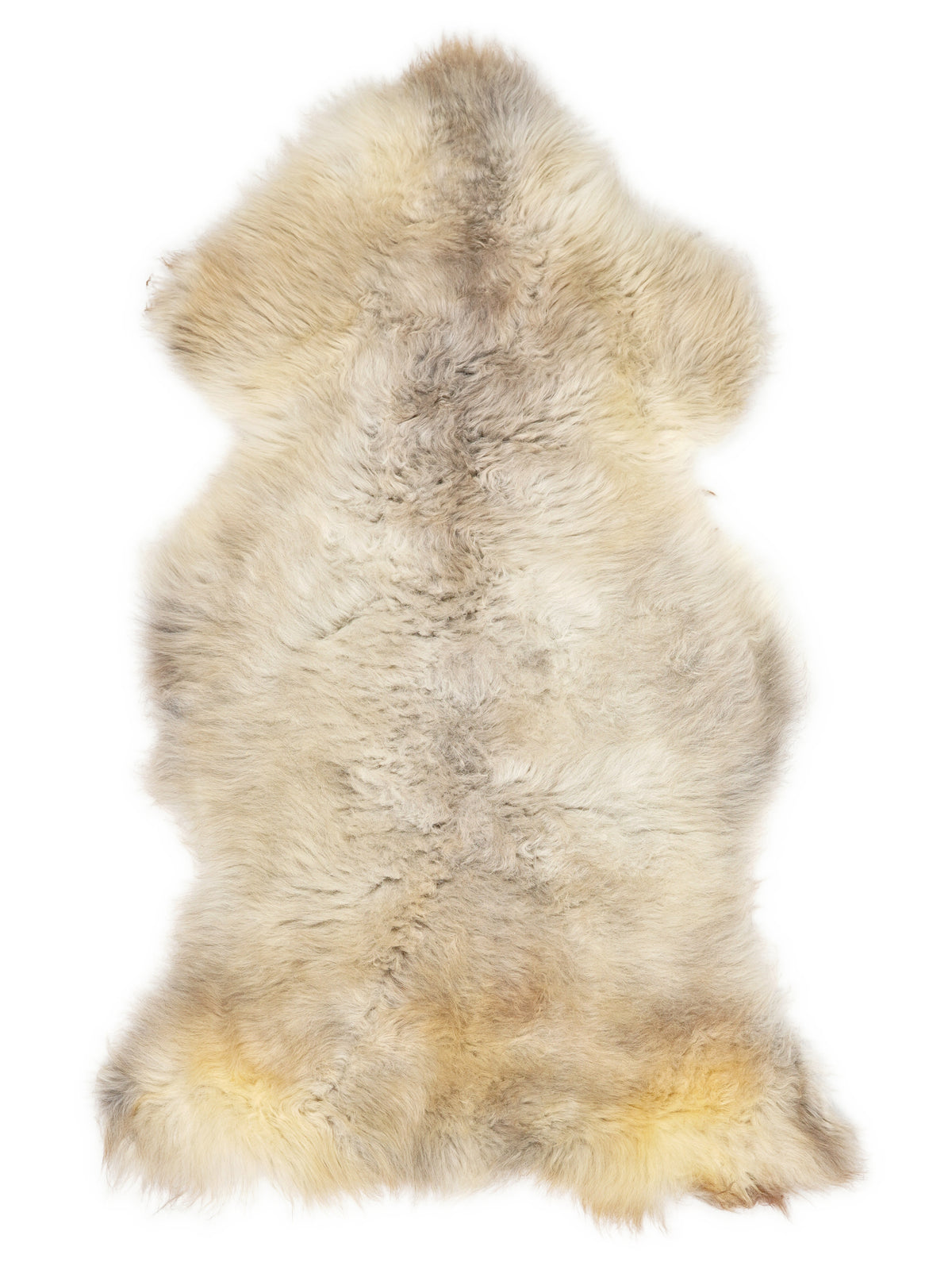 British multicolour sheepskin rug of about 125 × 65 cm, seen from above: the exact sheepskin you receive