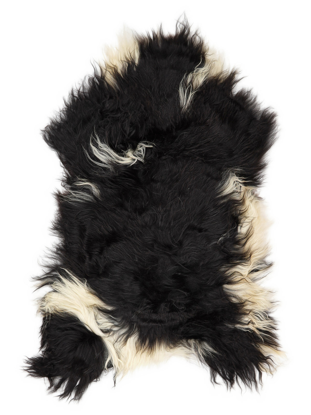 Icelandic multicolour sheepskin rug of about 120 × 70 cm, seen from above: the exact sheepskin you receive