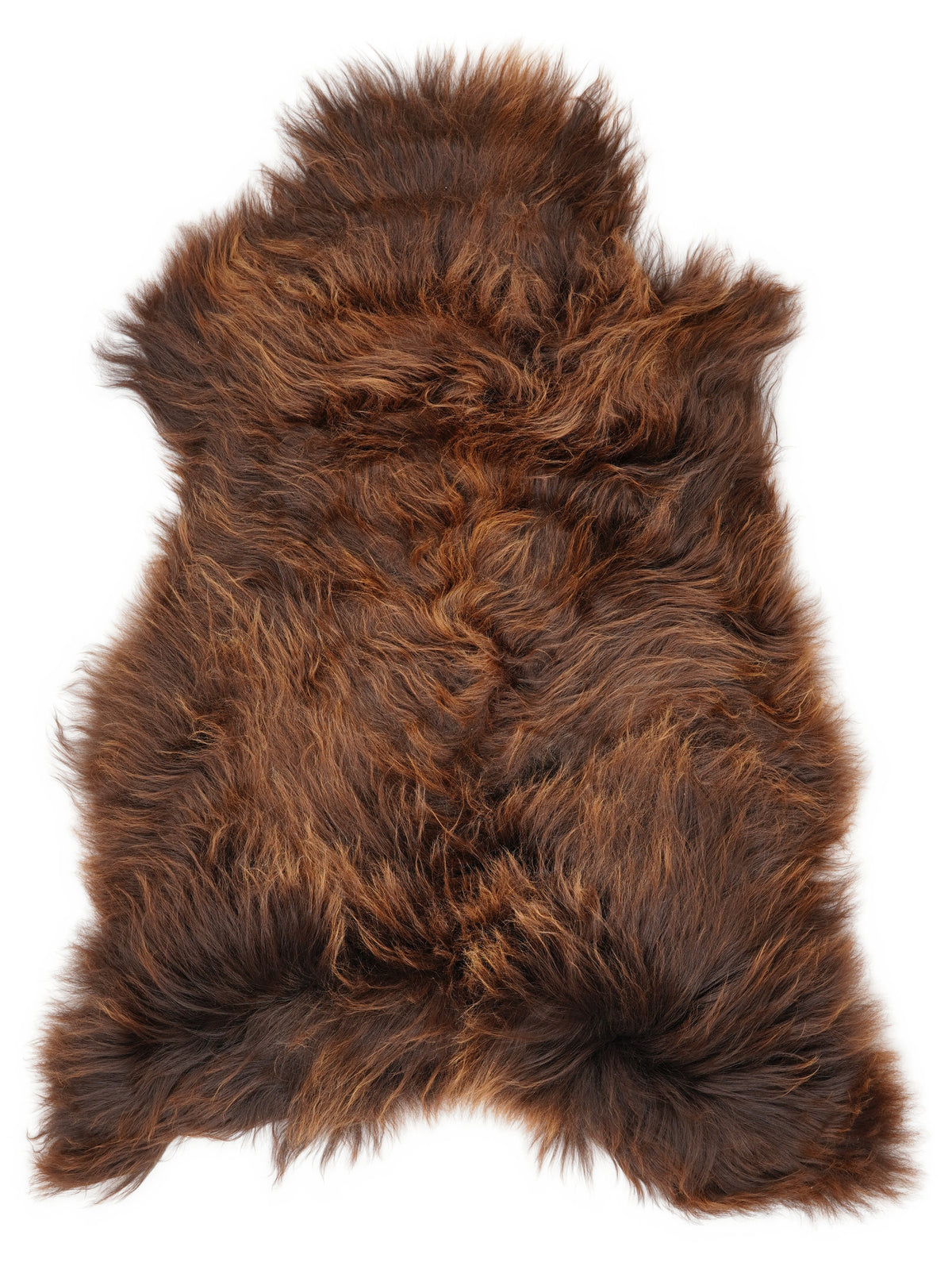 Icelandic multicolour sheepskin rug of about 120 × 75 cm, seen from above: the exact sheepskin you receive