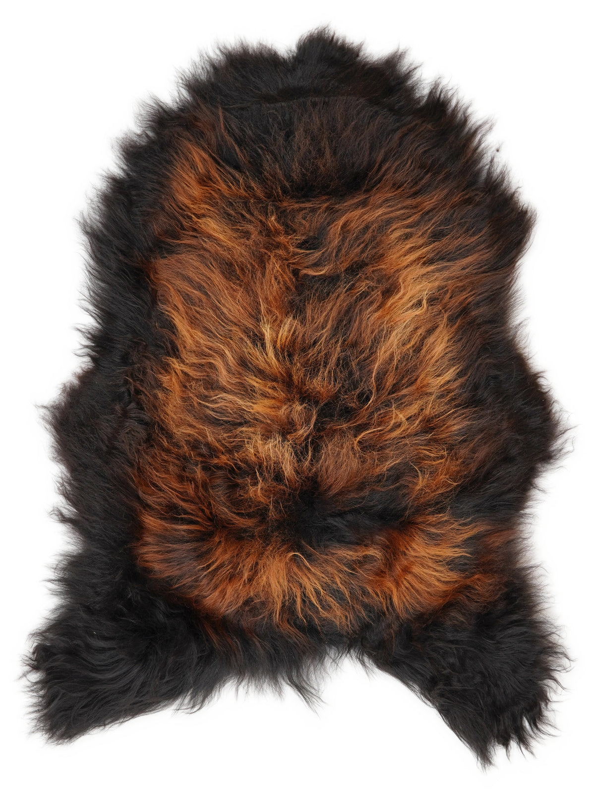 Icelandic multicolour sheepskin rug of about 110 × 75 cm, seen from above: the exact sheepskin you receive