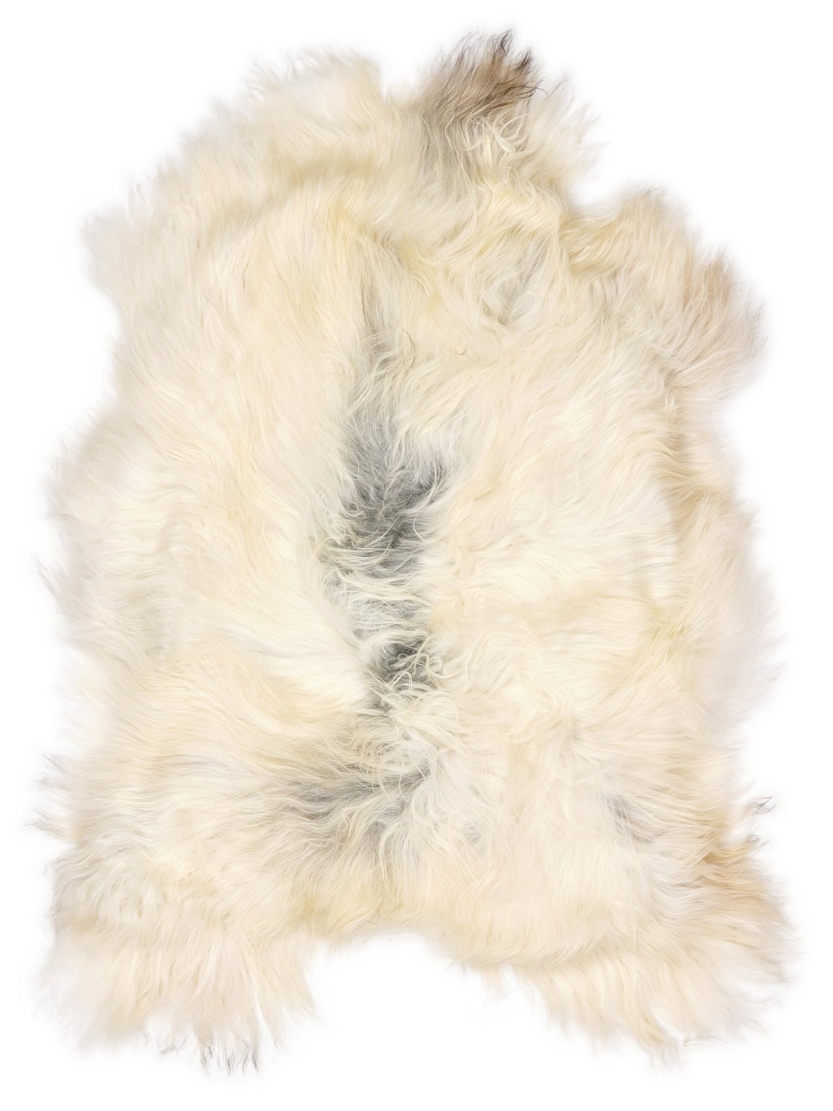 Icelandic multicolour sheepskin rug of about 110 × 75 cm, seen from above: the exact sheepskin you receive