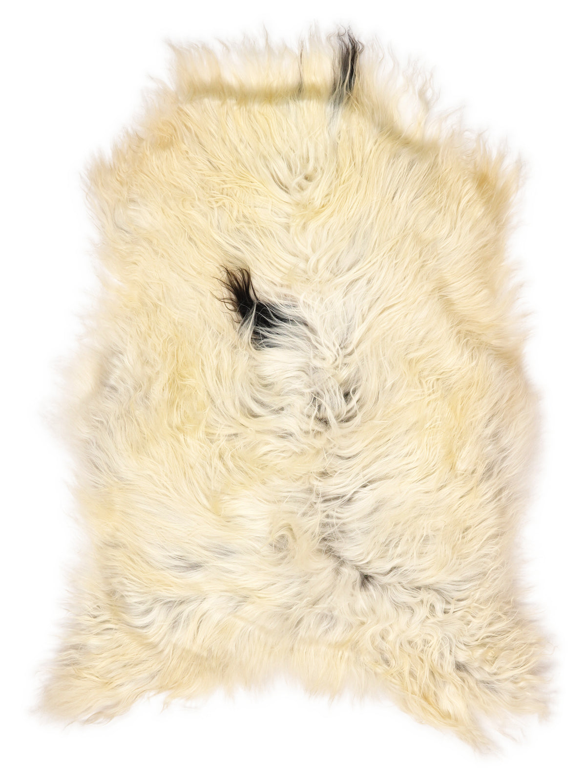 Icelandic multicolour sheepskin rug of about 115 × 75 cm, seen from above: the exact sheepskin you receive
