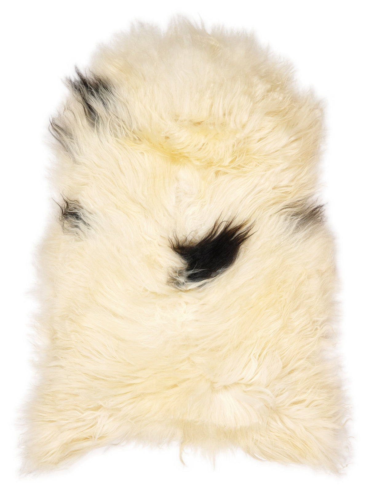 Icelandic multicolour sheepskin rug of about 120 × 70 cm, seen from above: the exact sheepskin you receive