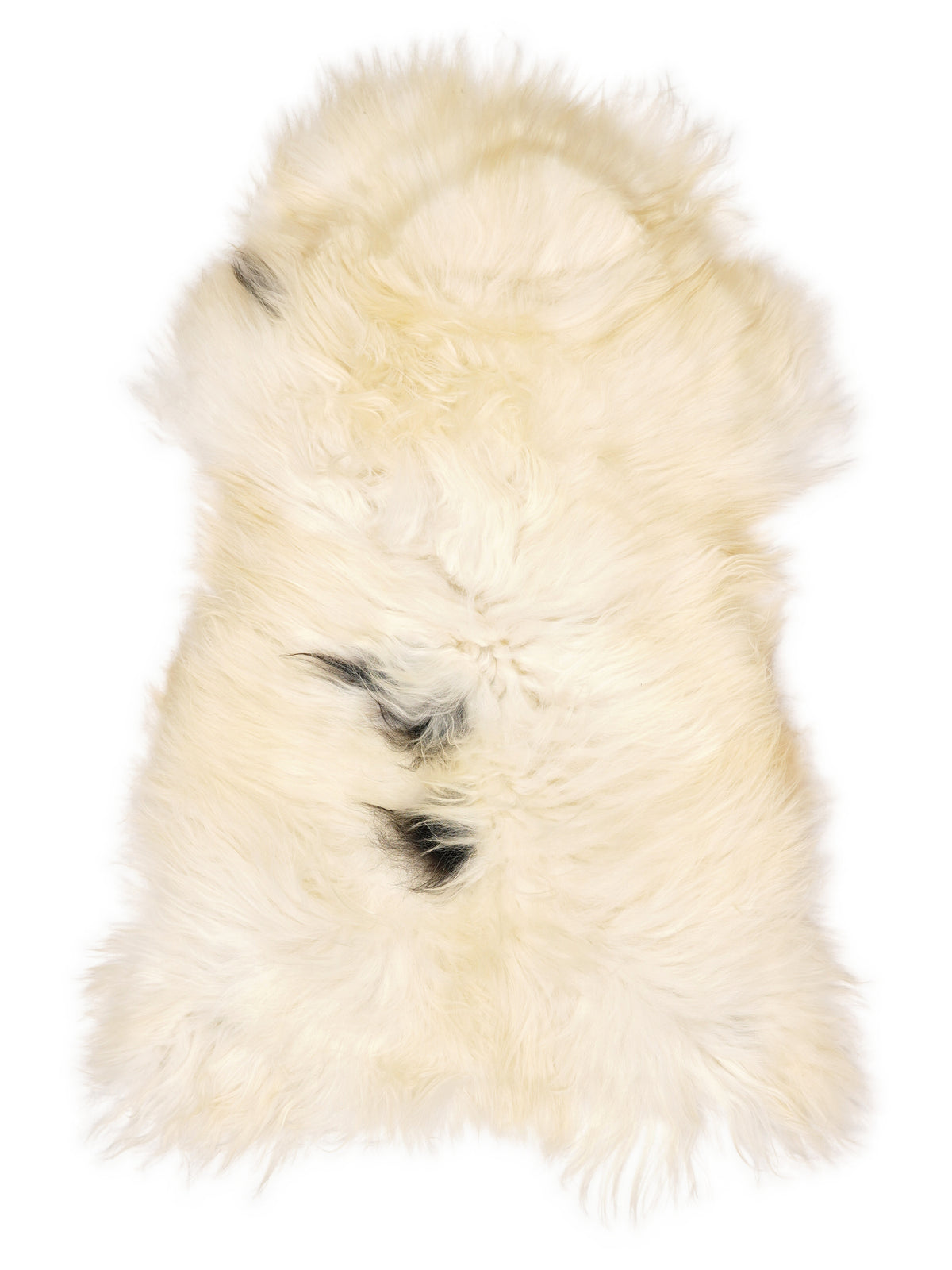 Icelandic multicolour sheepskin rug of about 110 × 60 cm, seen from above: the exact sheepskin you receive