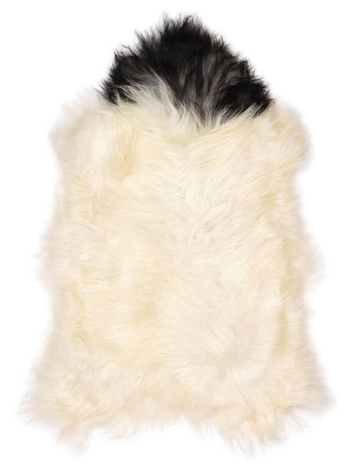 Icelandic multicolour sheepskin rug of about 110 × 70 cm, seen from above: the exact sheepskin you receive