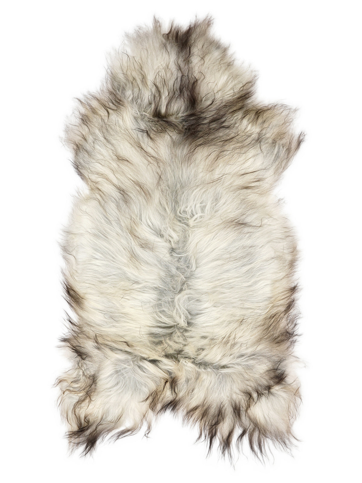 Grey Icelandic sheepskin rug of about 125 × 65 cm, seen from above: the exact sheepskin you receive