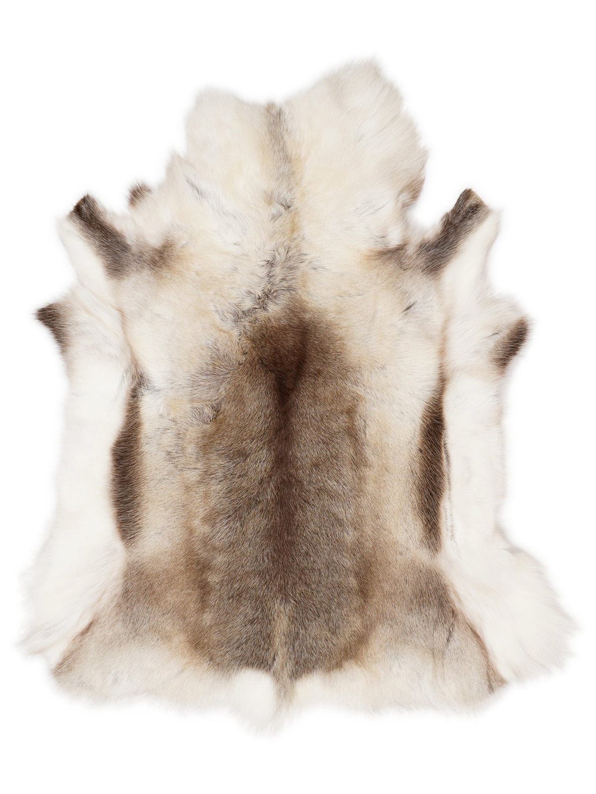 Reindeer hide of about 120 × 105 cm, seen from above: the exact hide you receive