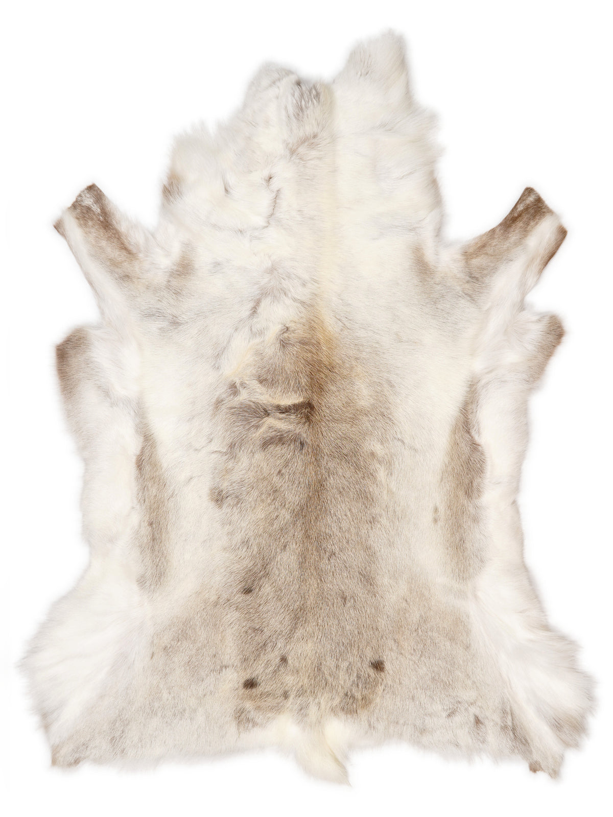 Reindeer hide of about 145 × 110 cm, seen from above: the exact hide you receive