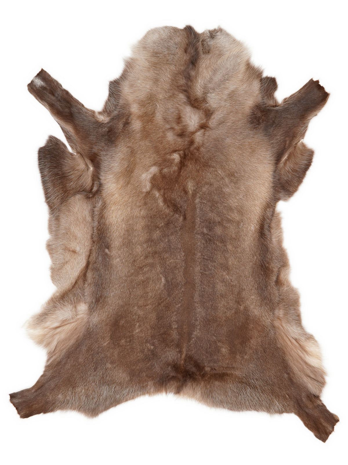 Reindeer hide of about 110 × 100 cm, seen from above: the exact hide you receive