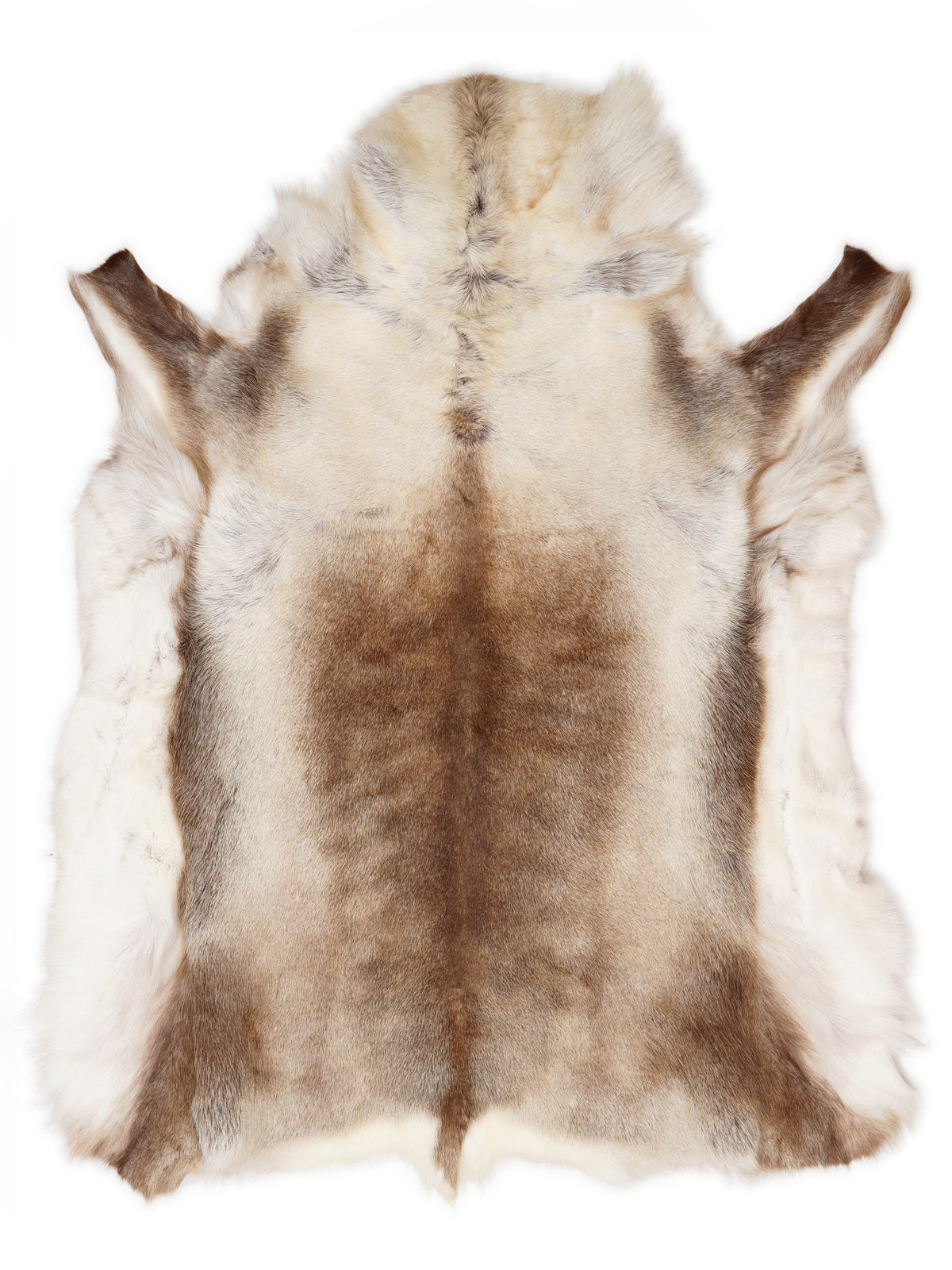 Reindeer hide of about 145 × 120 cm, seen from above: the exact hide you receive