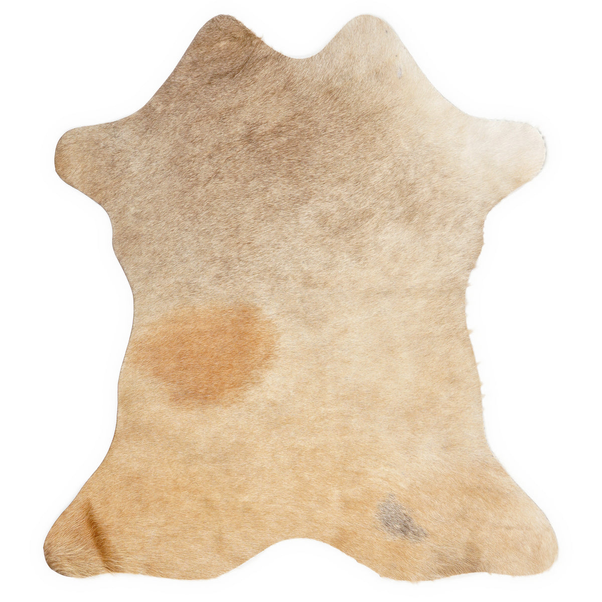 Mini cowhide of about 70 × 70 cm, seen from above: the exact hide you receive