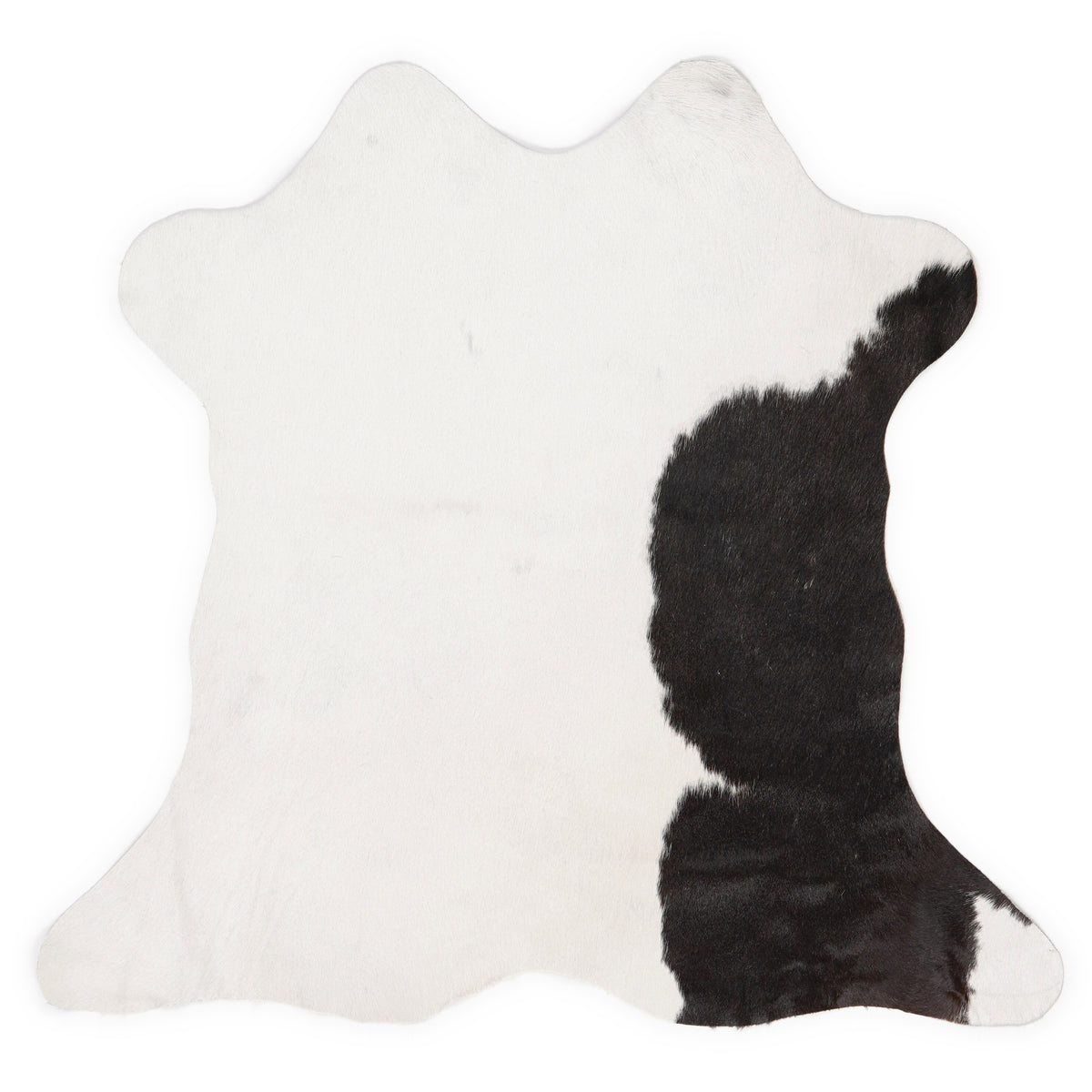 Mini cowhide of about 70 × 70 cm, seen from above: the exact hide you receive