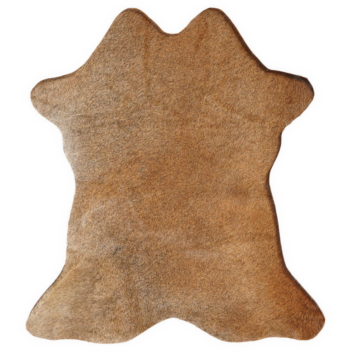 Mini cowhide of about 70 × 70 cm, seen from above: the exact hide you receive