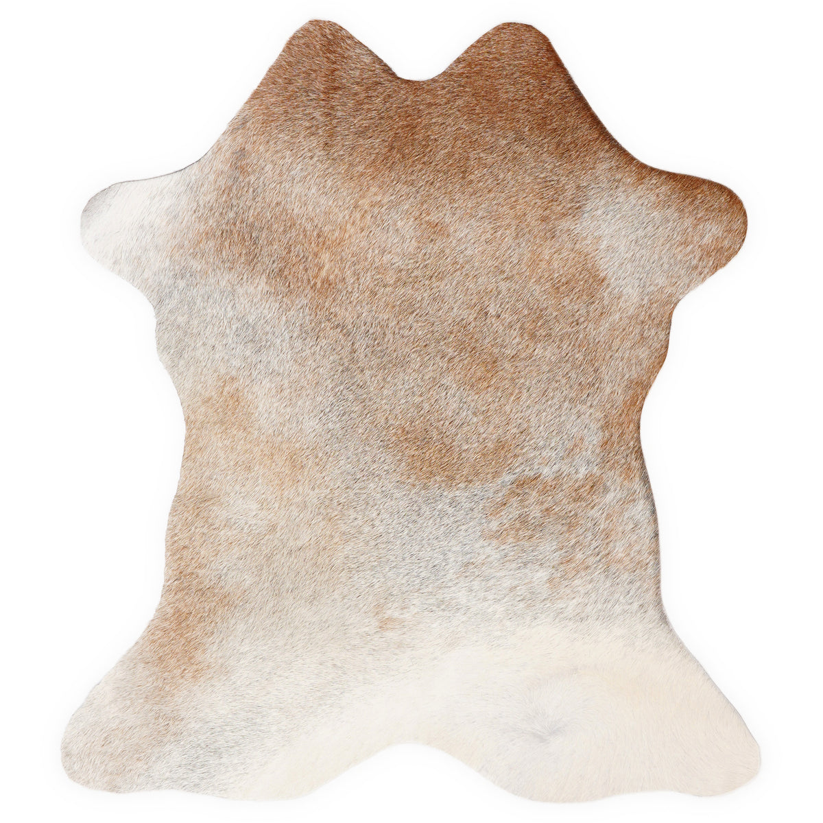 Mini cowhide of about 70 × 70 cm, seen from above: the exact hide you receive