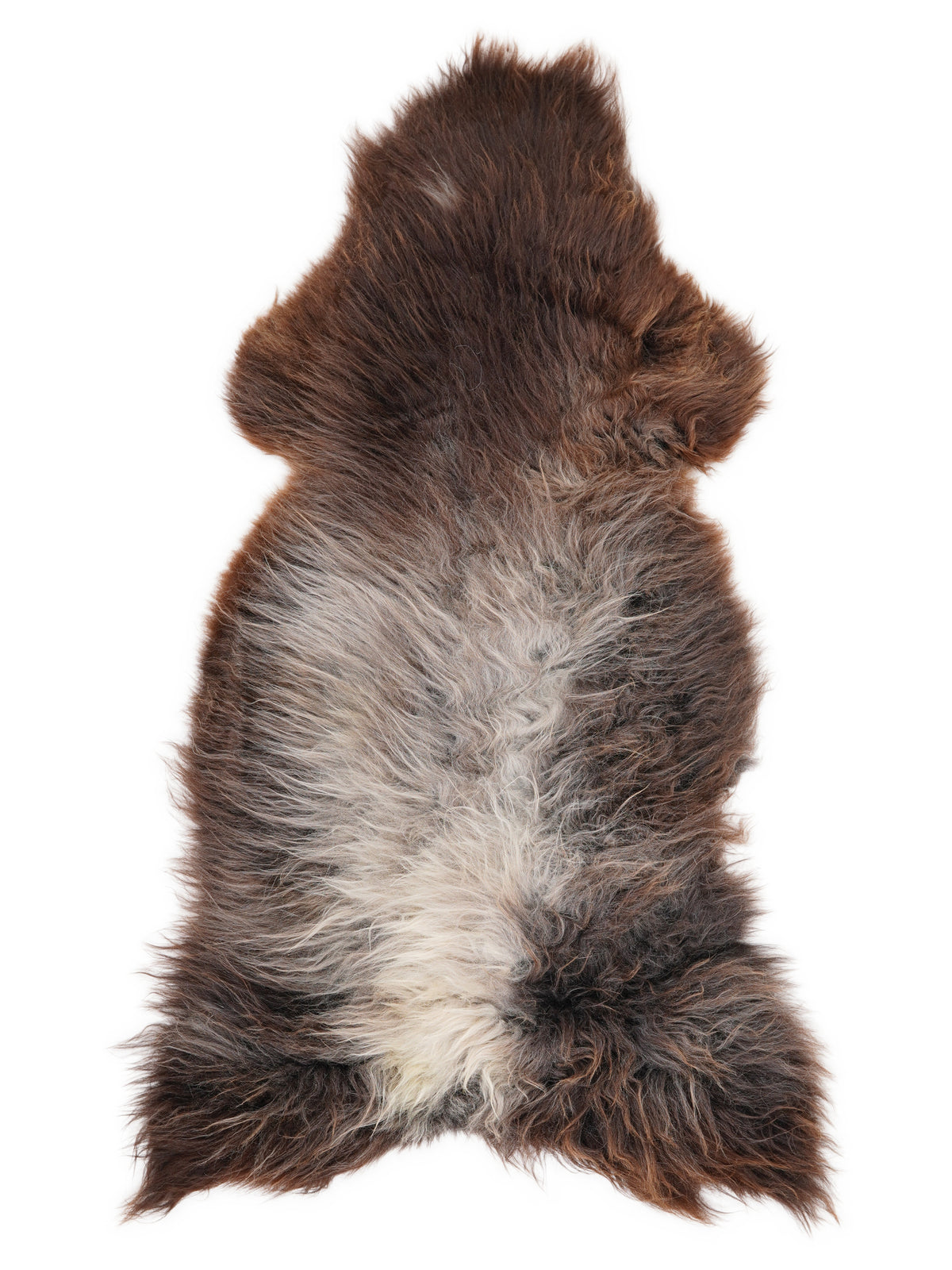 British multicolour sheepskin rug of about 130 × 60 cm, seen from above: the exact sheepskin you receive