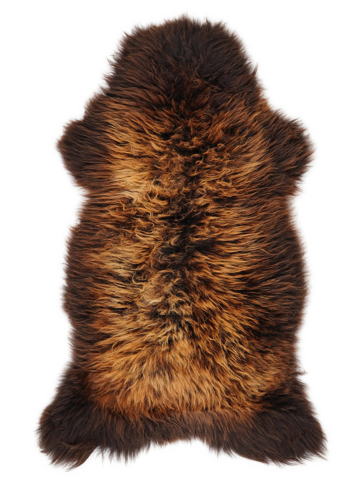 British multicolour sheepskin rug of about 120 × 60 cm, seen from above: the exact sheepskin you receive
