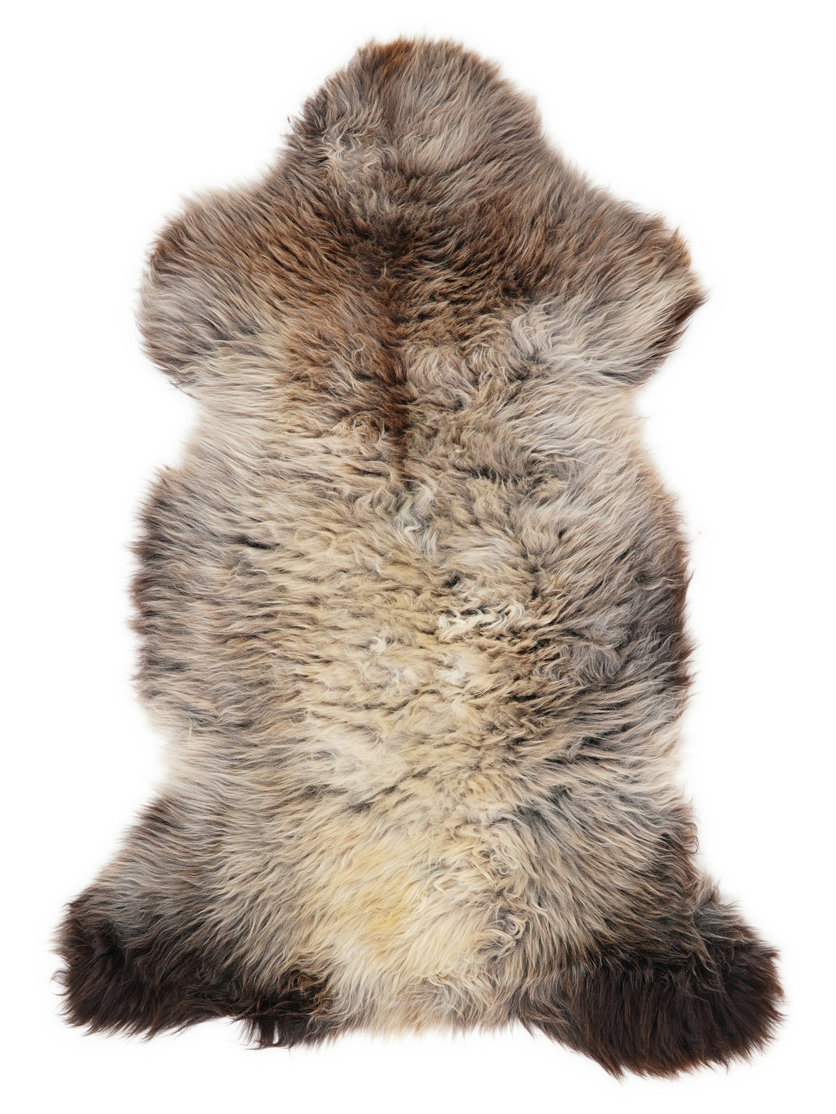 British multicolour sheepskin rug of about 120 × 60 cm, seen from above: the exact sheepskin you receive