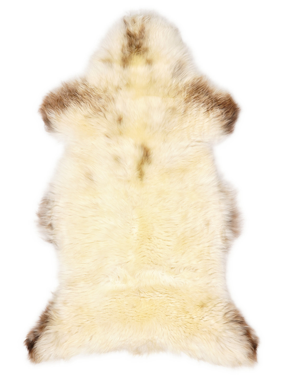 British multicolour sheepskin rug of about 120 × 65 cm, seen from above: the exact sheepskin you receive