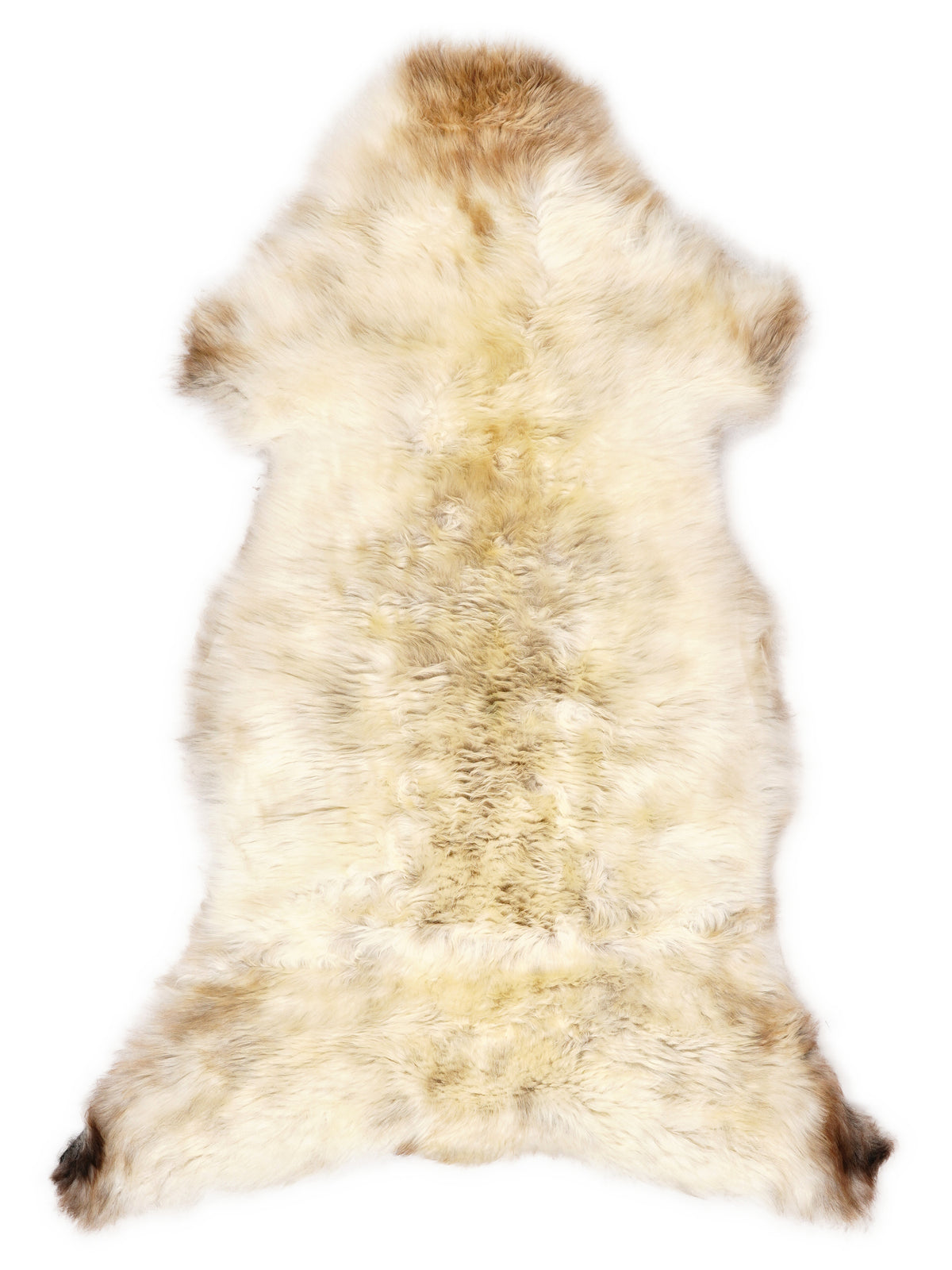 British multicolour sheepskin rug of about 120 × 55 cm, seen from above: the exact sheepskin you receive