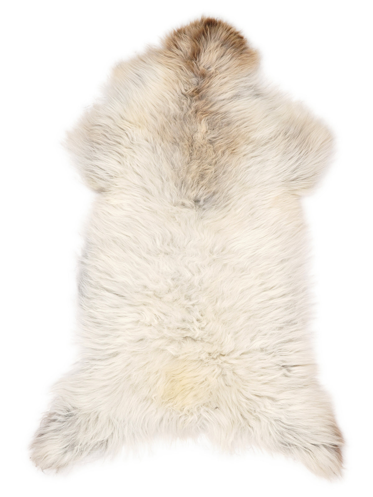 British multicolour sheepskin rug of about 120 × 60 cm, seen from above: the exact sheepskin you receive