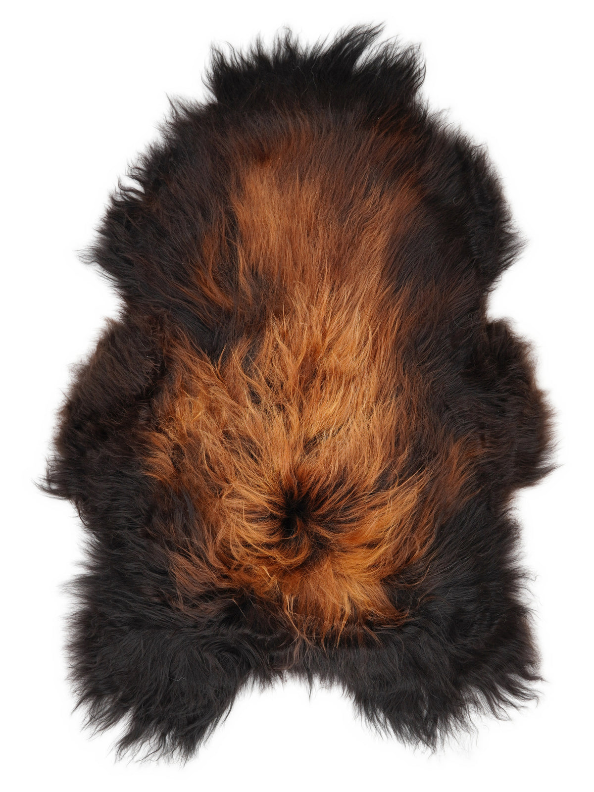 Icelandic multicolour sheepskin rug of about 120 × 85 cm, seen from above: the exact sheepskin you receive