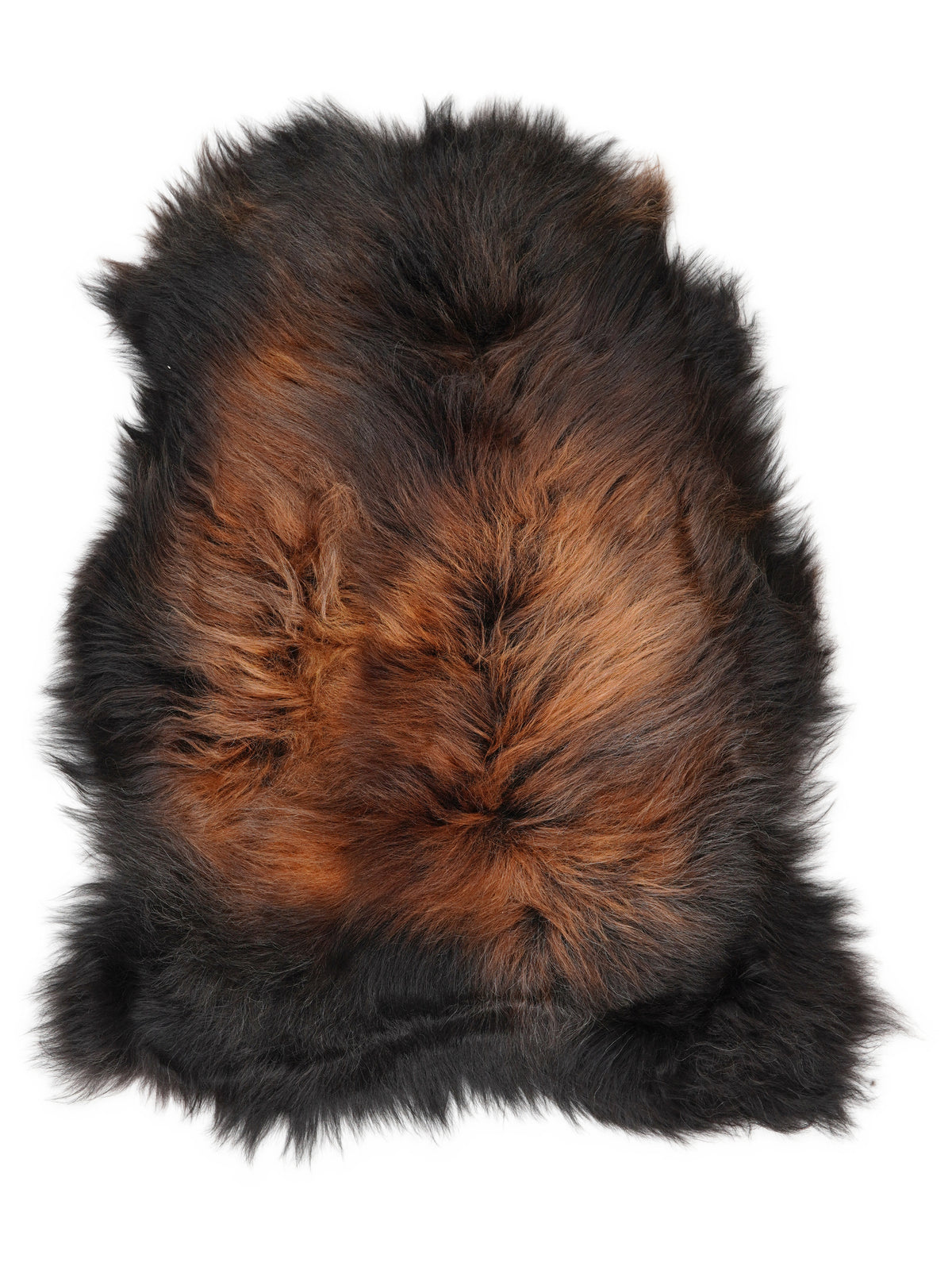 Icelandic multicolour sheepskin rug of about 110 × 75 cm, seen from above: the exact sheepskin you receive